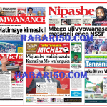 Vichwa vya Habari vya Magazeti ya Tanzania Leo – Ijumaa 15 November 2024