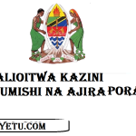 Walioitwa Kazini Utumishi na Ajira Portal 2024